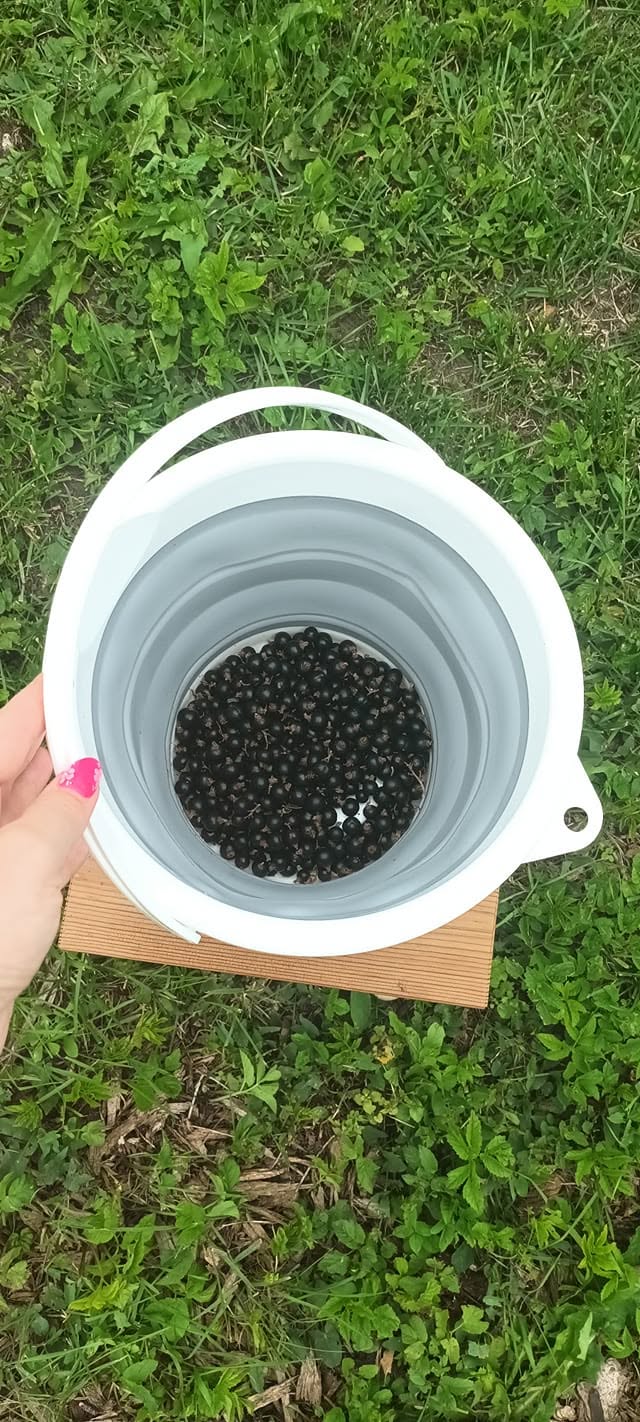 Kokkupandav silikoonist ämber kaanega – 5L